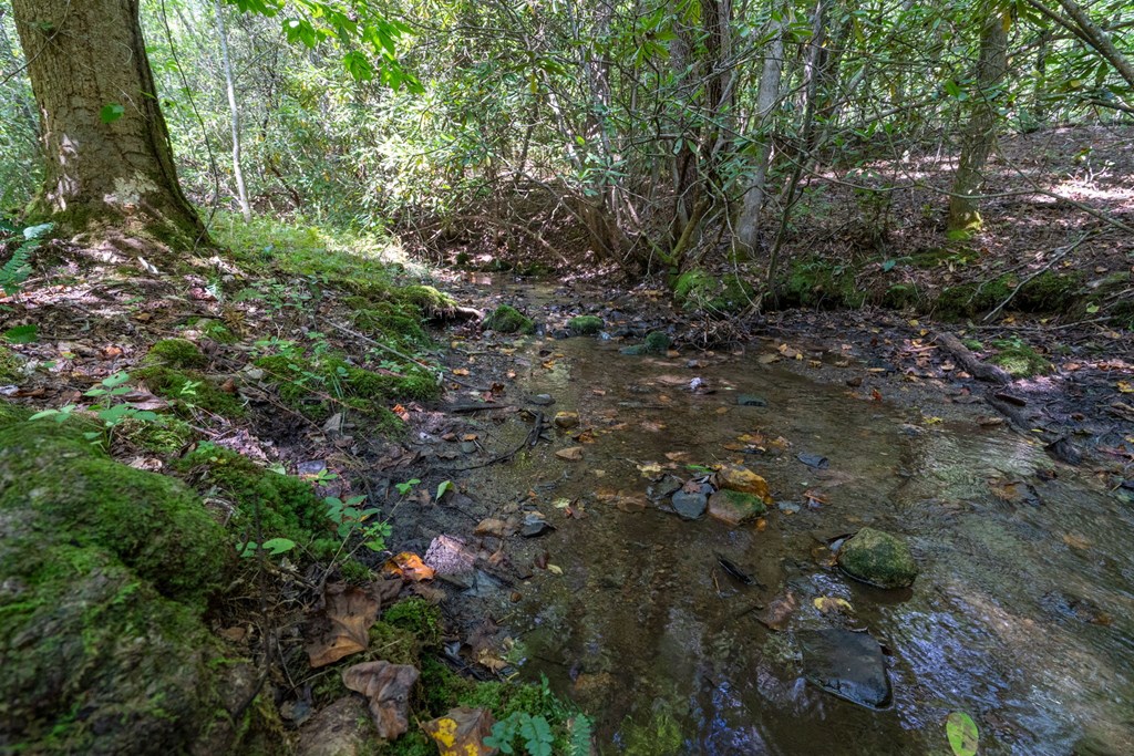 26.98 Ac Tusquittee Property Photo 20