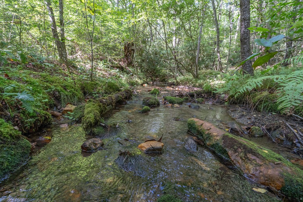 26.98 Ac Tusquittee Property Photo 22