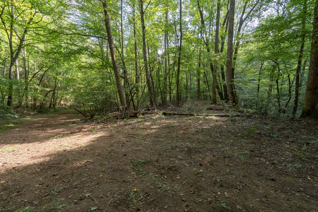 26.98 Ac Tusquittee Property Photo 23