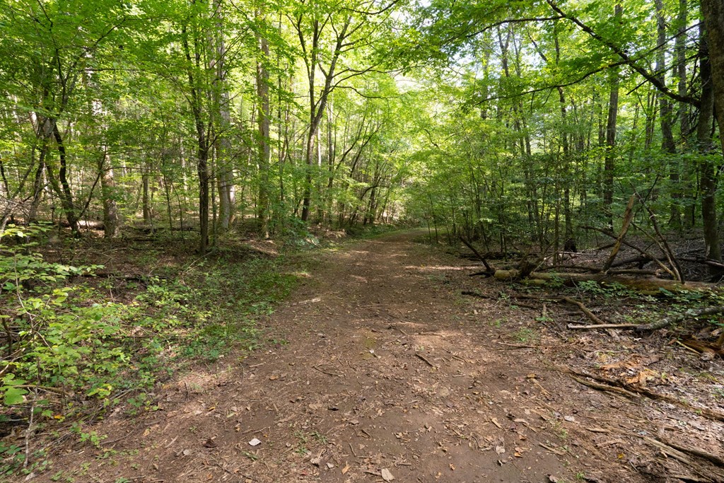 26.98 Ac Tusquittee Property Photo 24