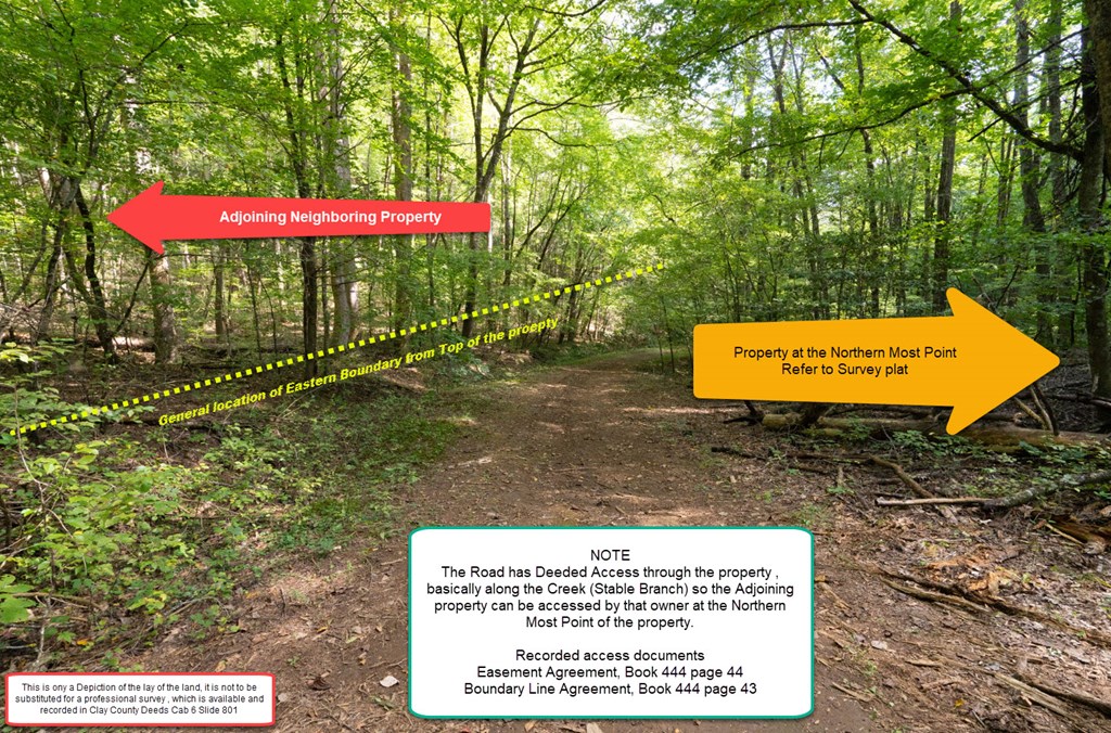 26.98 Ac Tusquittee Property Photo 26