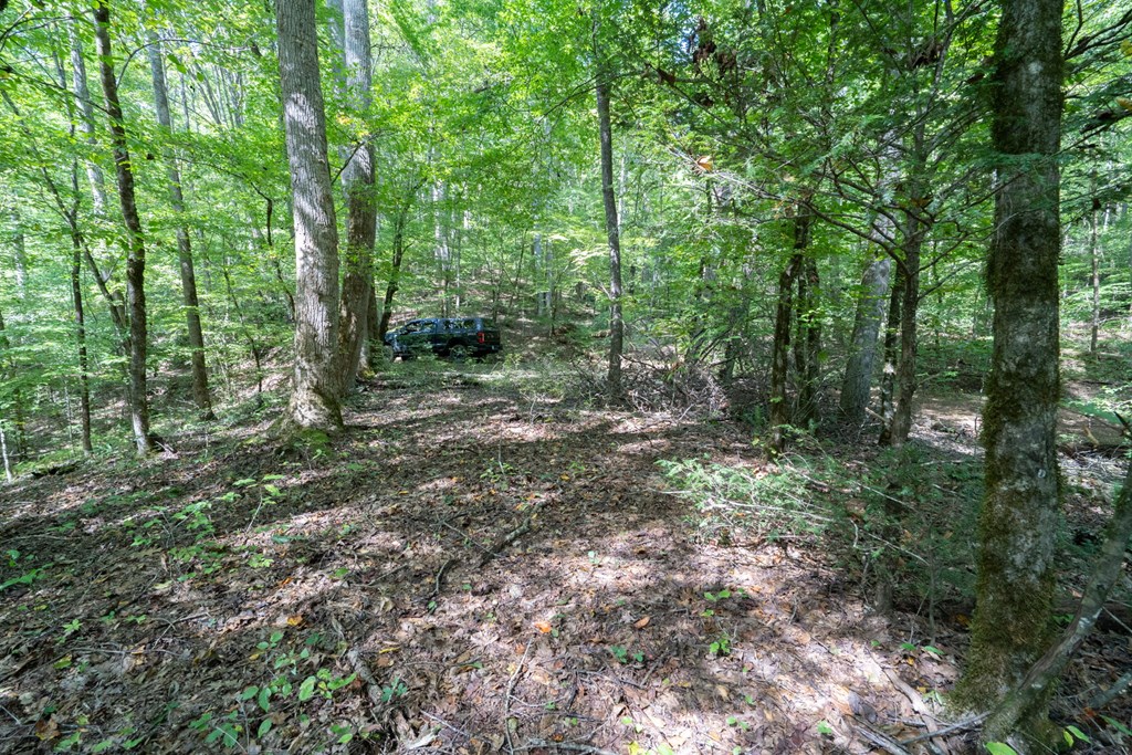 26.98 Ac Tusquittee Property Photo 27