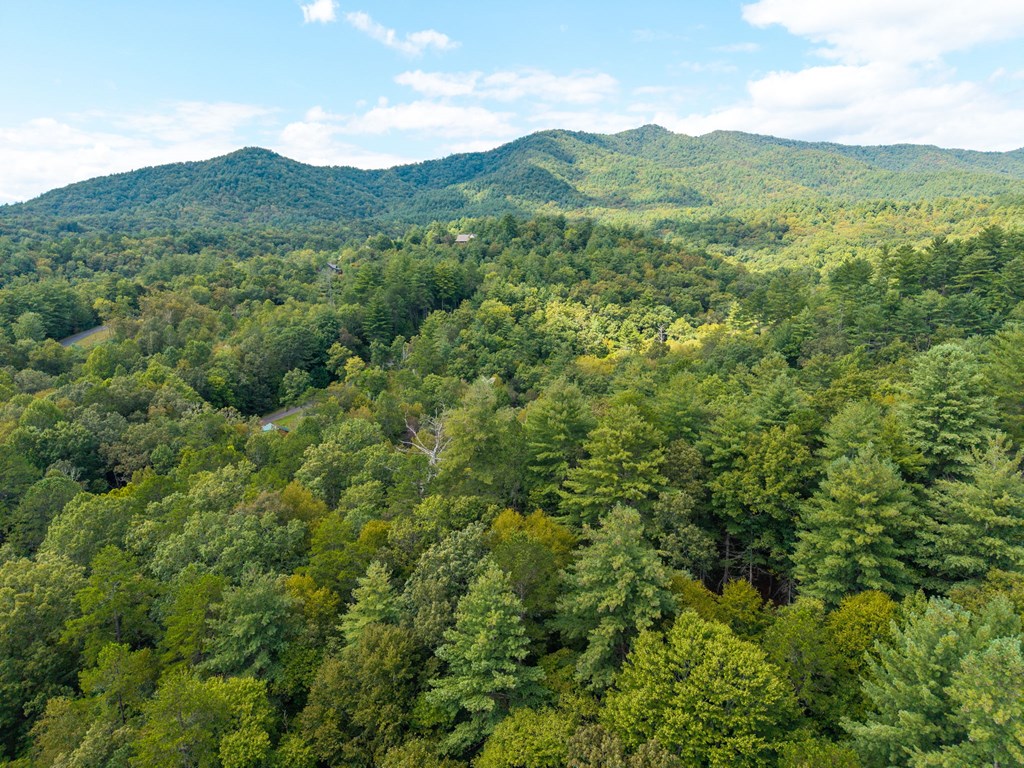 26.98 Ac Tusquittee Property Photo 32