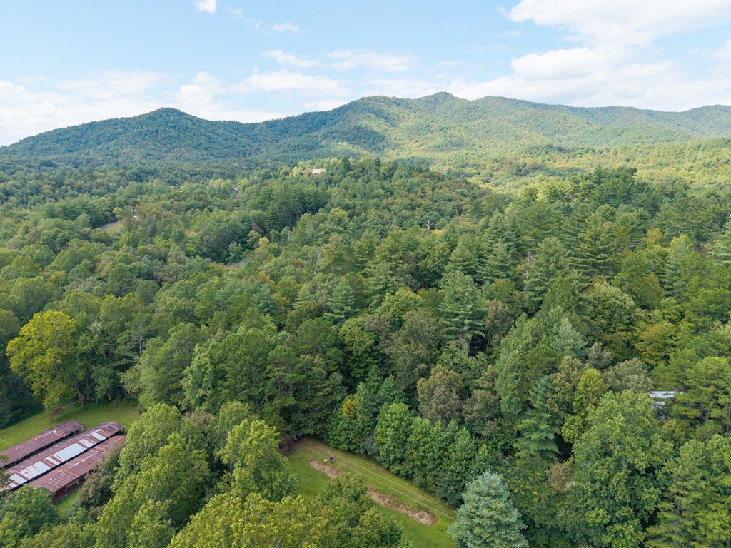 26.98 Ac Tusquittee Property Photo 33