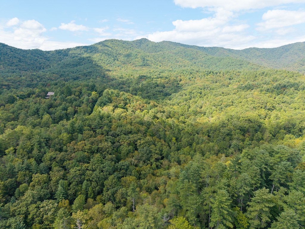26.98 Ac Tusquittee Property Photo 35