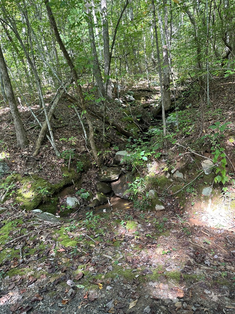 Tr 1 Burning Ember Property Photo 2