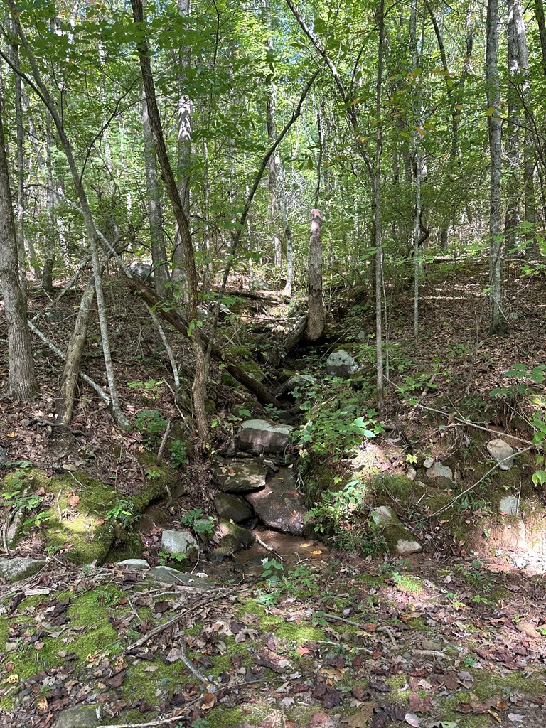 Tr 1 Burning Ember Property Photo 3
