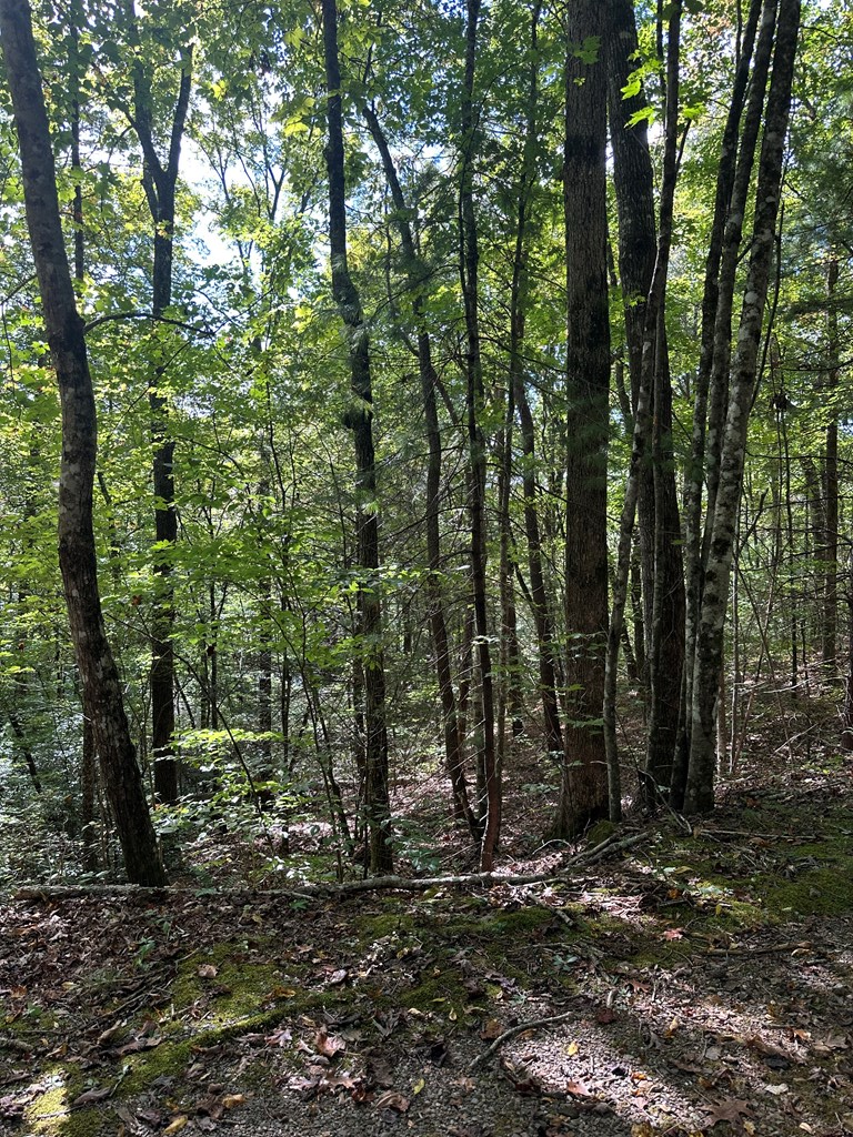 Tr 1 Burning Ember Property Photo 4
