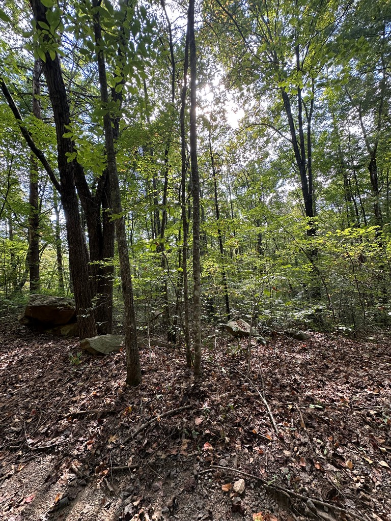 Tr 1 Burning Ember Property Photo 5