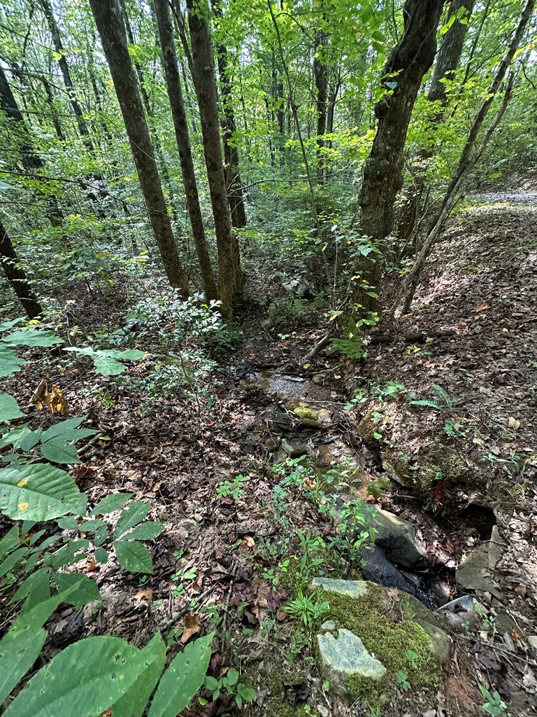 Tr 1 Burning Ember Property Photo 7