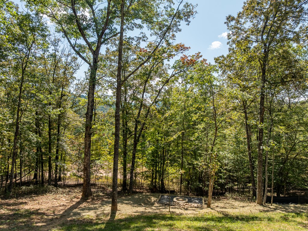 108 Wildflower Drive Property Photo 10