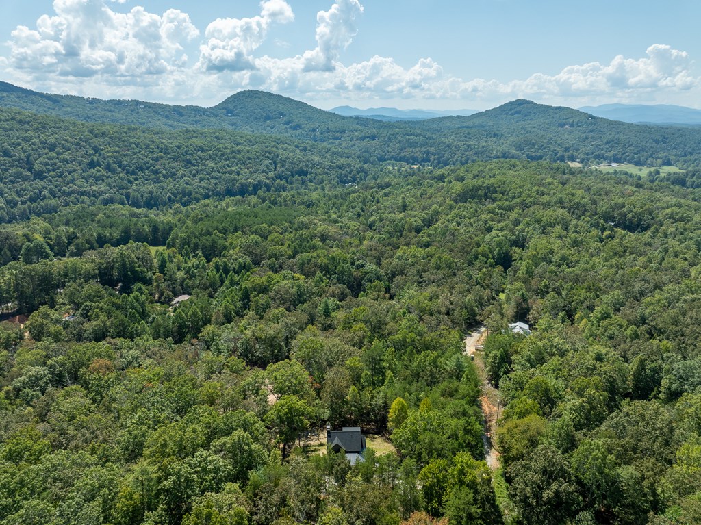 108 Wildflower Drive Property Photo 19