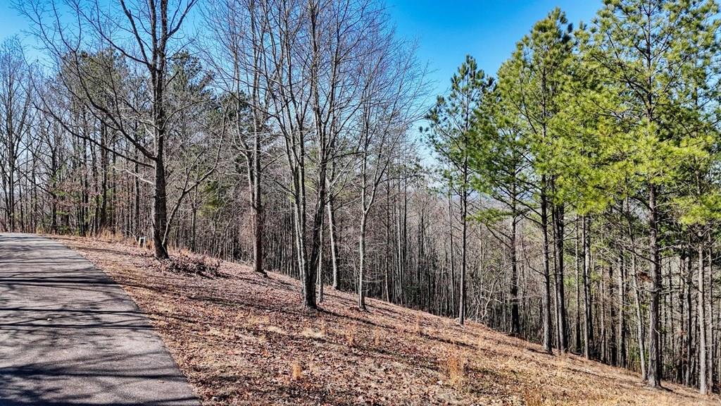Lot 29 Loftis Mountain Property Photo 1