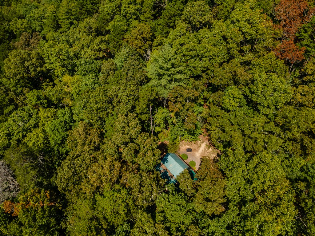 151 Pinewood Drive Property Photo 42