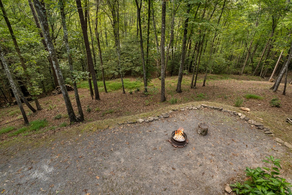 151 Pinewood Drive Property Photo 43