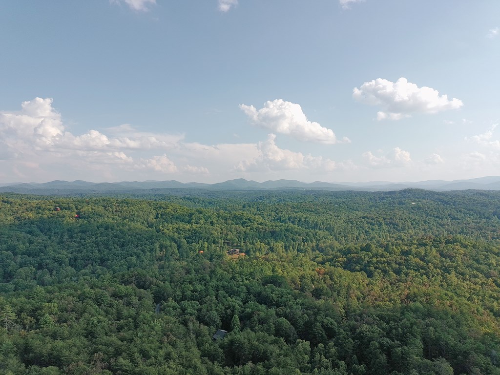 Lot 41 Ridgeline Lane Property Photo 6