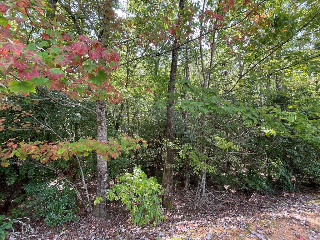 #103 Heritage Trail Property Photo 1