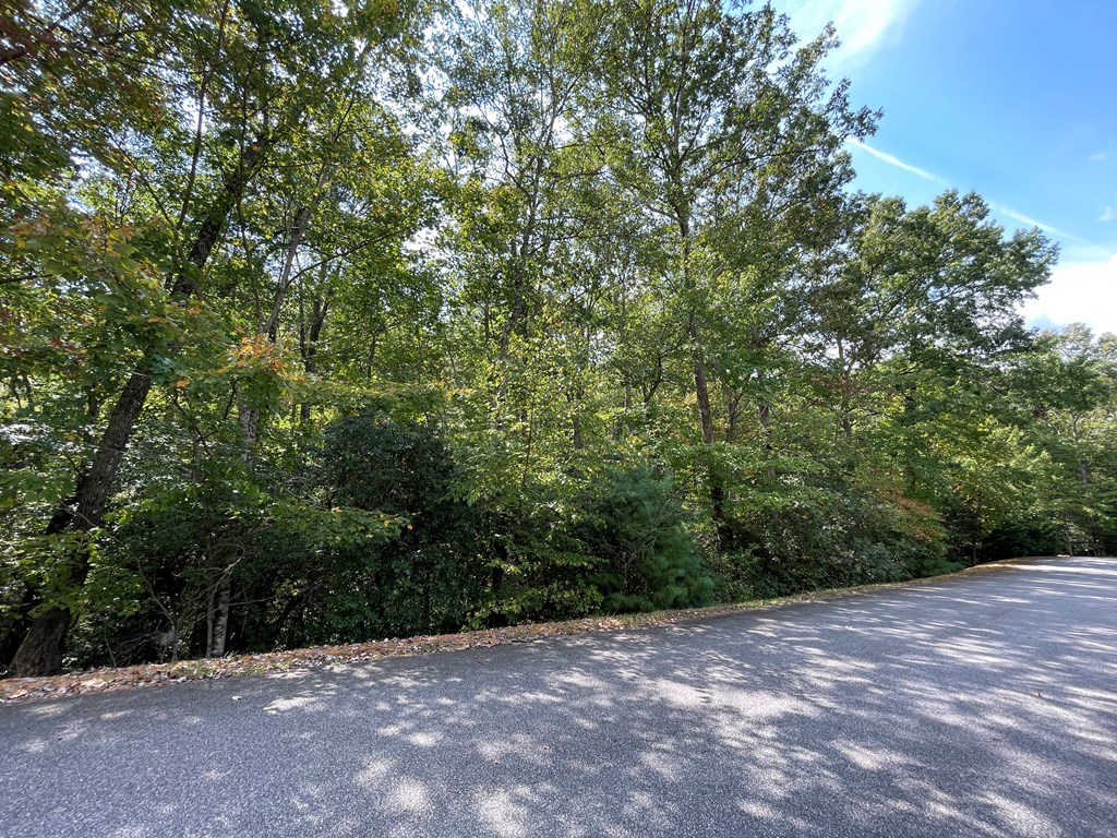 #103 Heritage Trail Property Photo 4