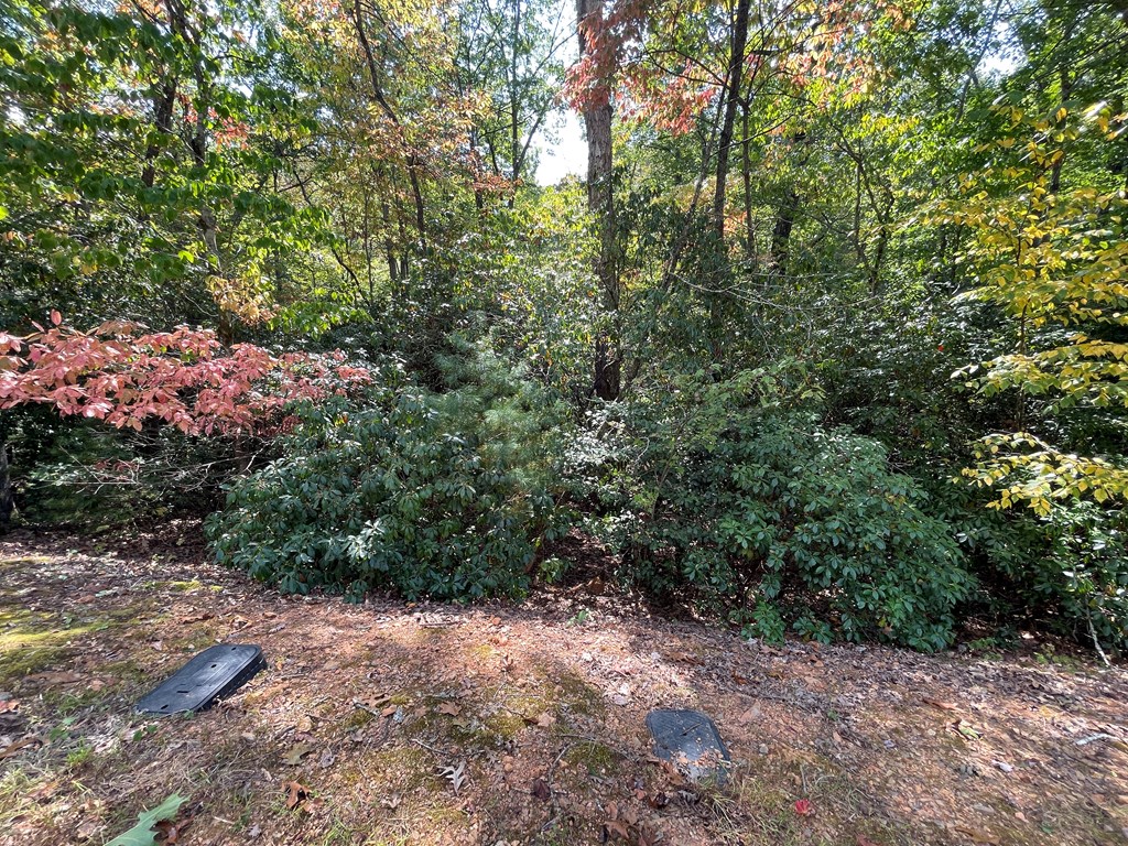 #103 Heritage Trail Property Photo 6