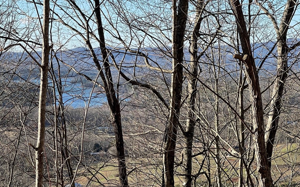 Lot 63 Dan Knob Property Photo 2