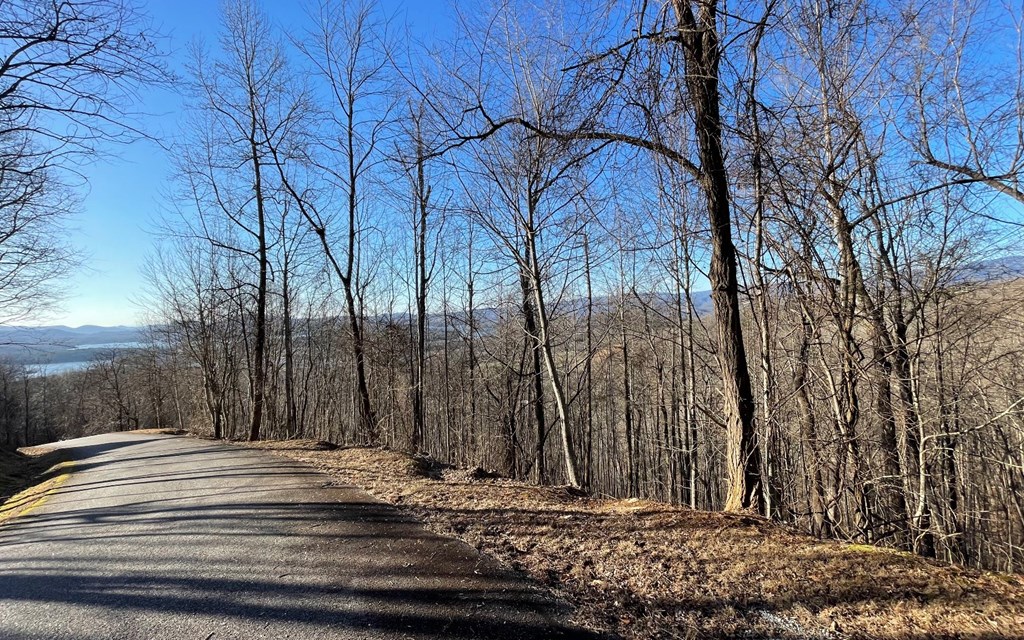 Lot 63 Dan Knob Property Photo 5