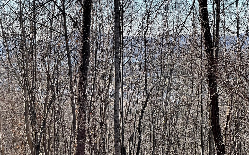 Lot 63 Dan Knob Property Photo 7