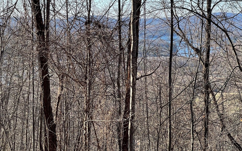 Lot 63 Dan Knob Property Photo 8