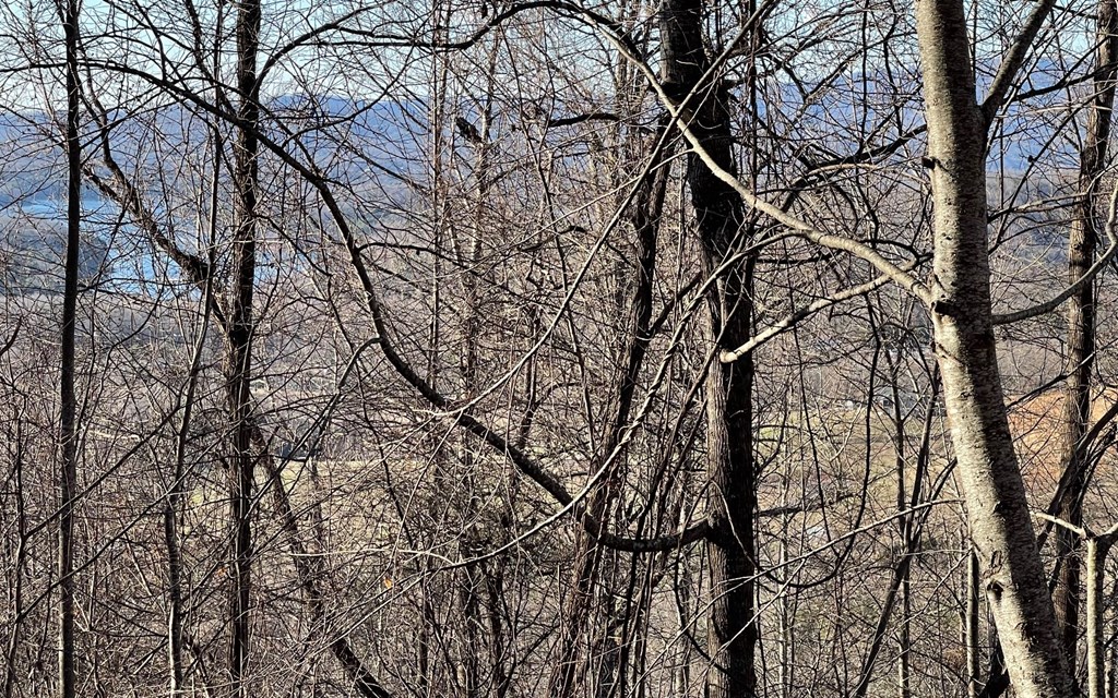 Lot 63 Dan Knob Property Photo 9