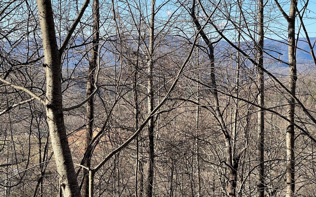 Lot 63 Dan Knob Property Photo 10