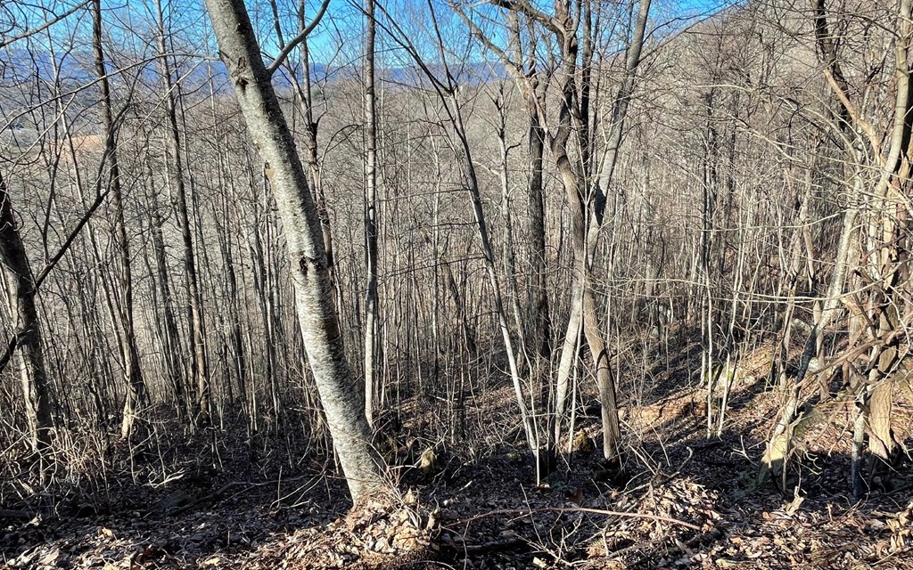 Lot 63 Dan Knob Property Photo 13