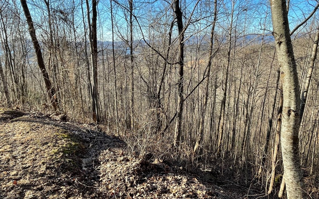 Lot 63 Dan Knob Property Photo 14