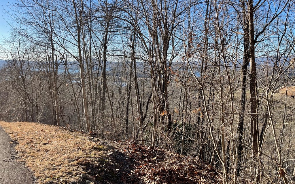 Lot 63 Dan Knob Property Photo 15