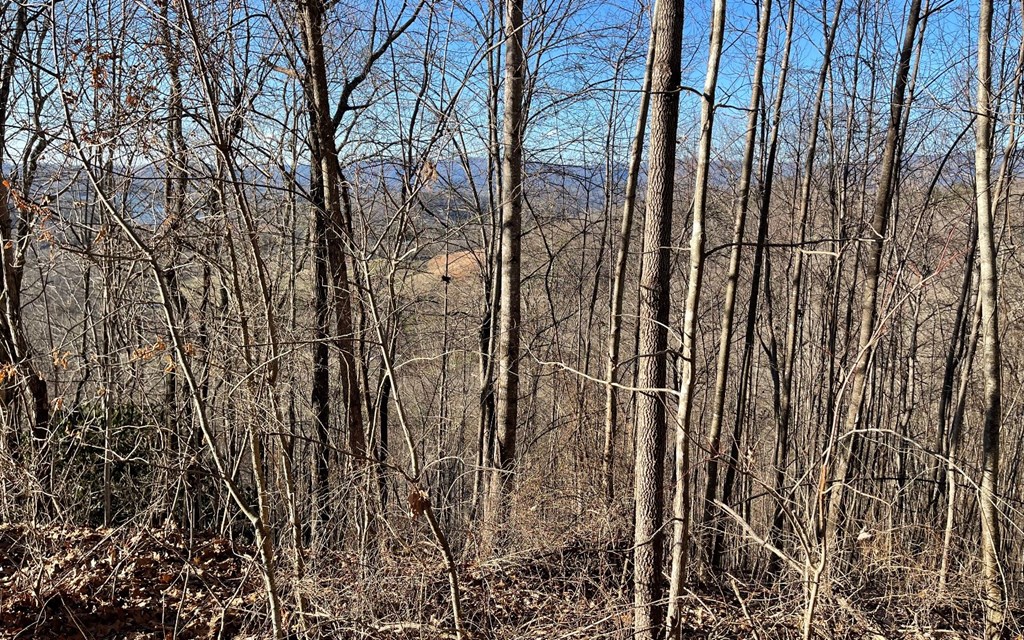 Lot 63 Dan Knob Property Photo 16