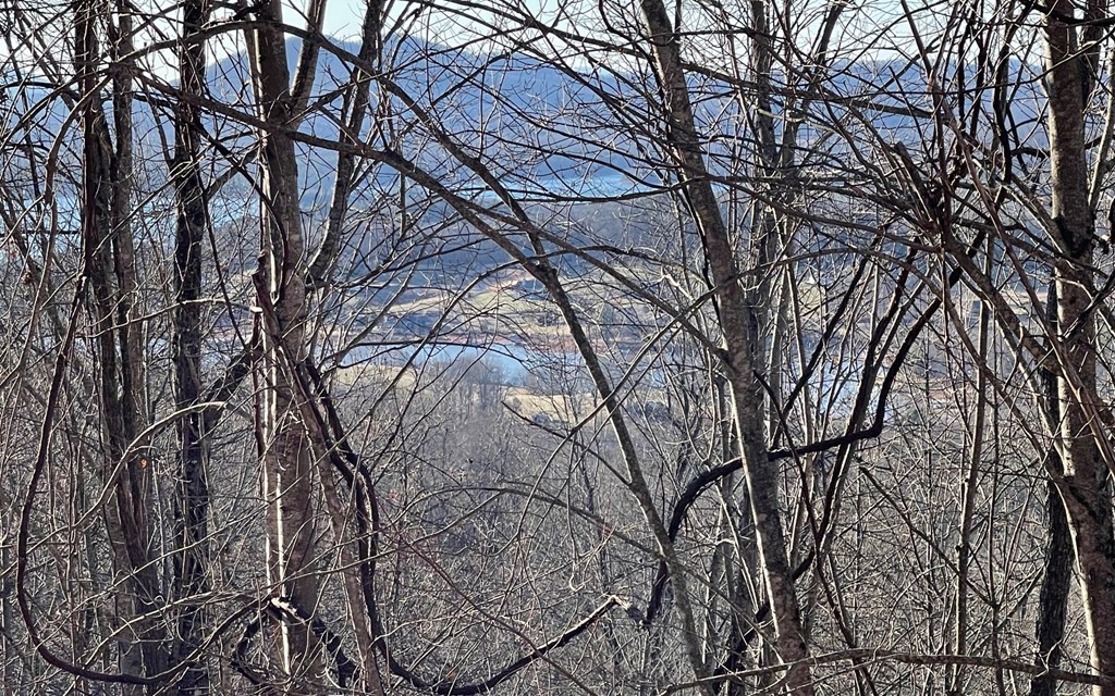 Lot 63 Dan Knob Property Photo 19