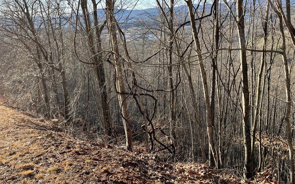 Lot 63 Dan Knob Property Photo 21