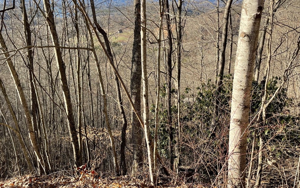Lot 63 Dan Knob Property Photo 22