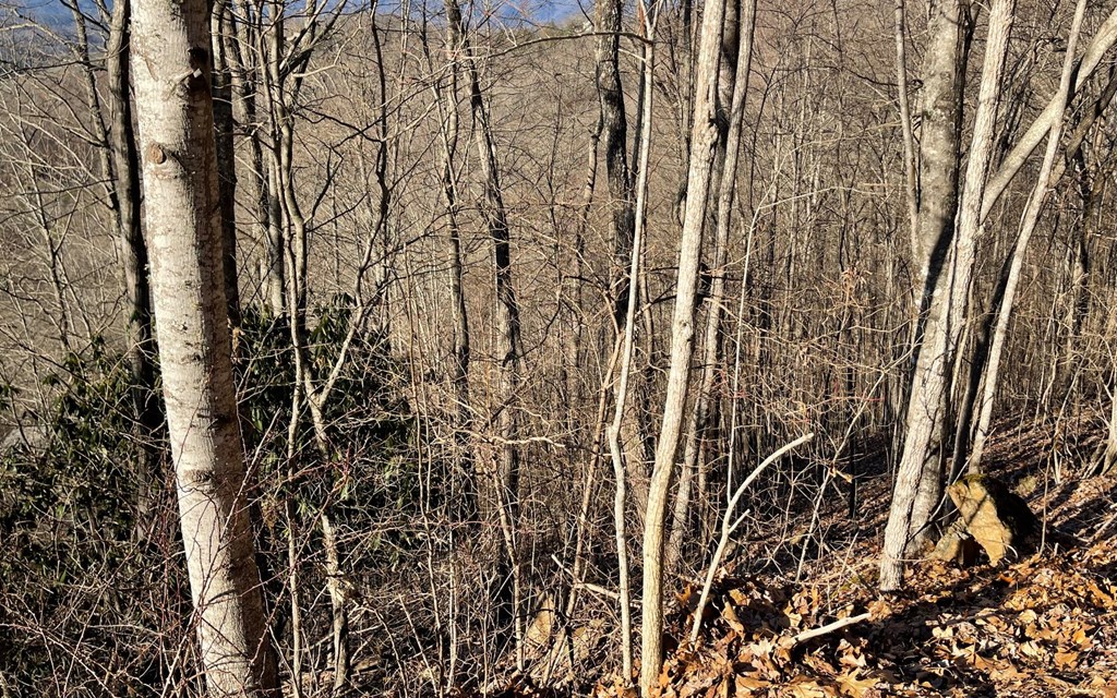 Lot 63 Dan Knob Property Photo 23