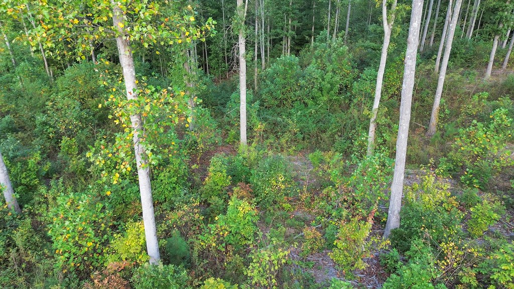 272 Highgrove Drive Property Photo 4
