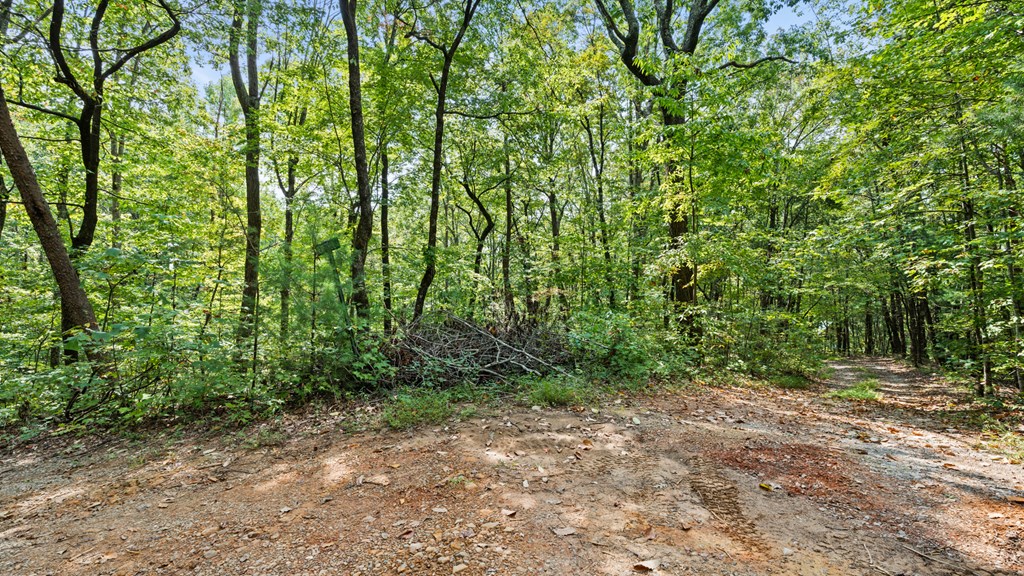 23 B Double Knob Property Photo 8