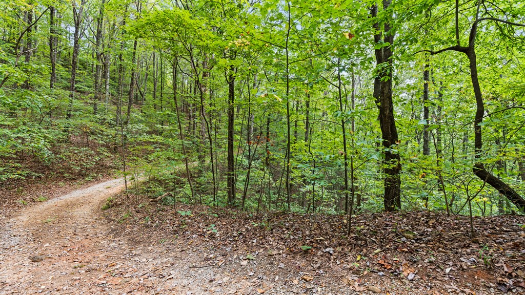 23 B Double Knob Property Photo 10
