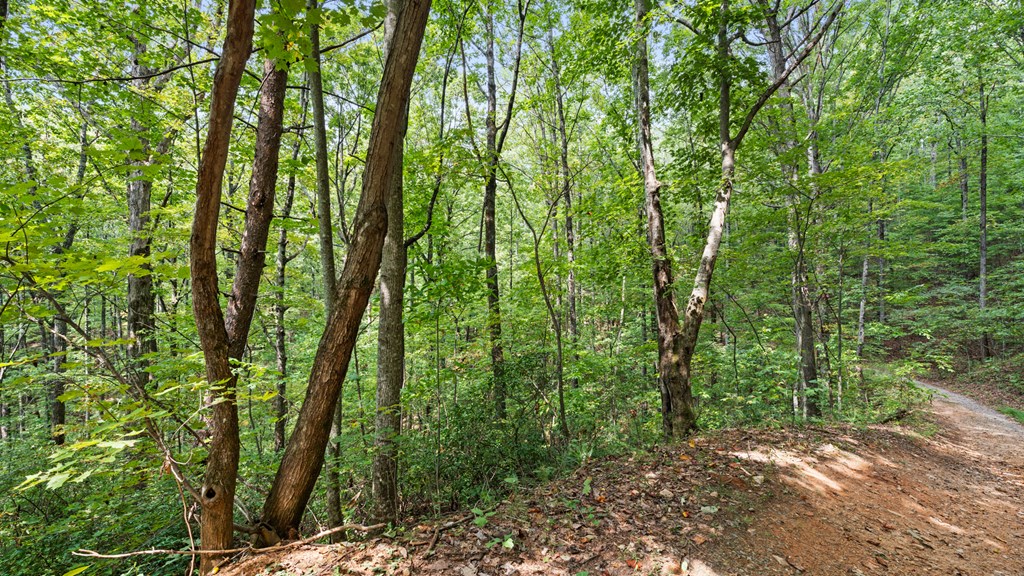 23 B Double Knob Property Photo 11