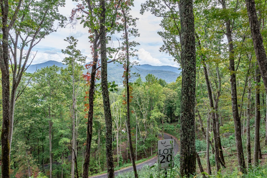 Lot 20 Buckhead Hills Property Photo 6