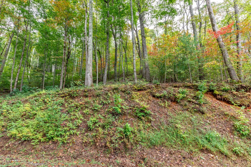 Lot 20 Buckhead Hills Property Photo 19