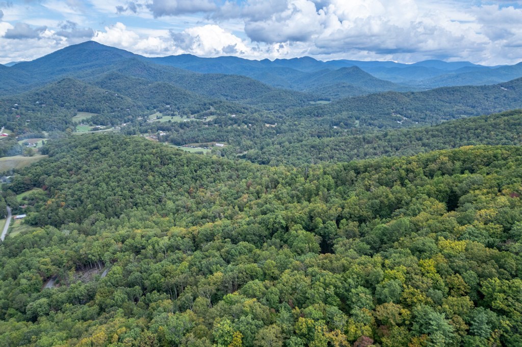 Lot 20 Buckhead Hills Property Photo 33