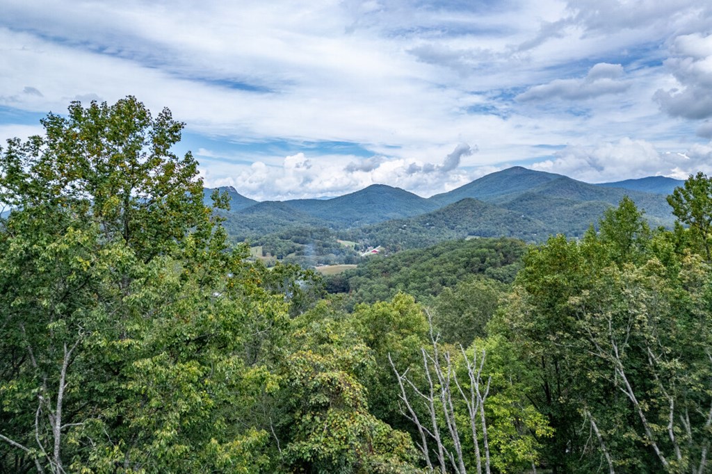 Lot 20 Buckhead Hills Property Photo 45