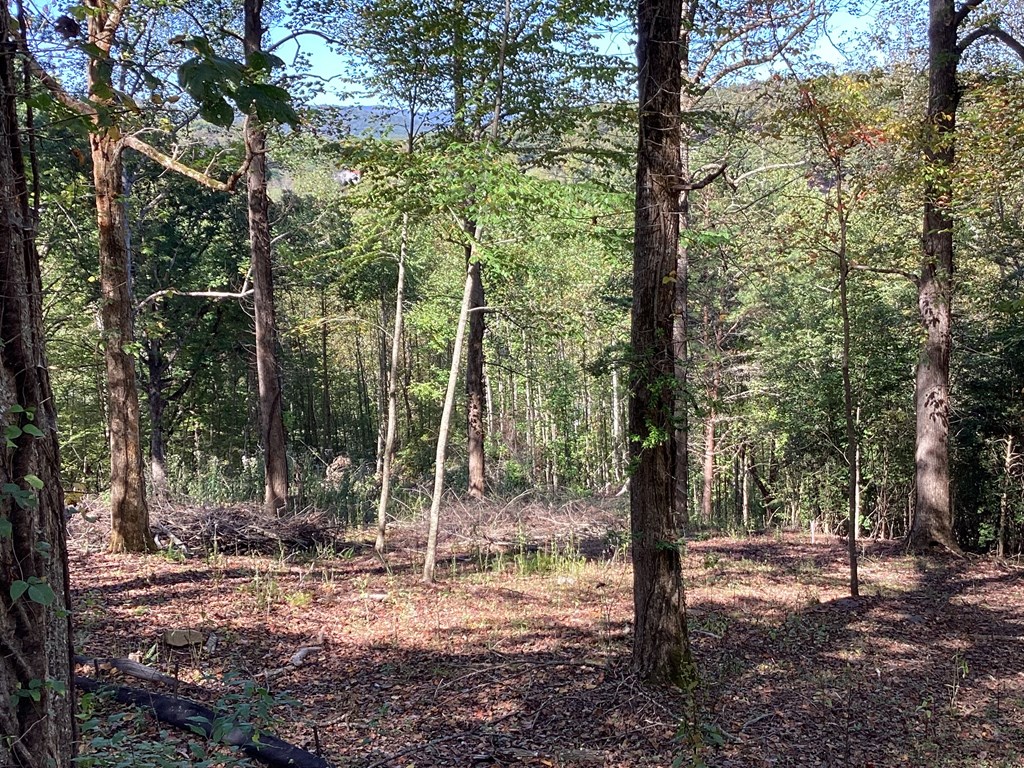 Lot 2 Buckhead Hills Property Photo 4