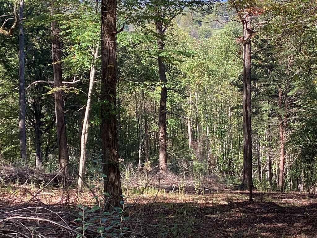 Lot 2 Buckhead Hills Property Photo 6
