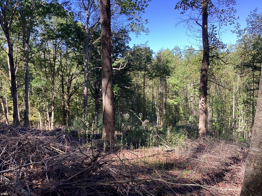 Lot 2 Buckhead Hills Property Photo 10