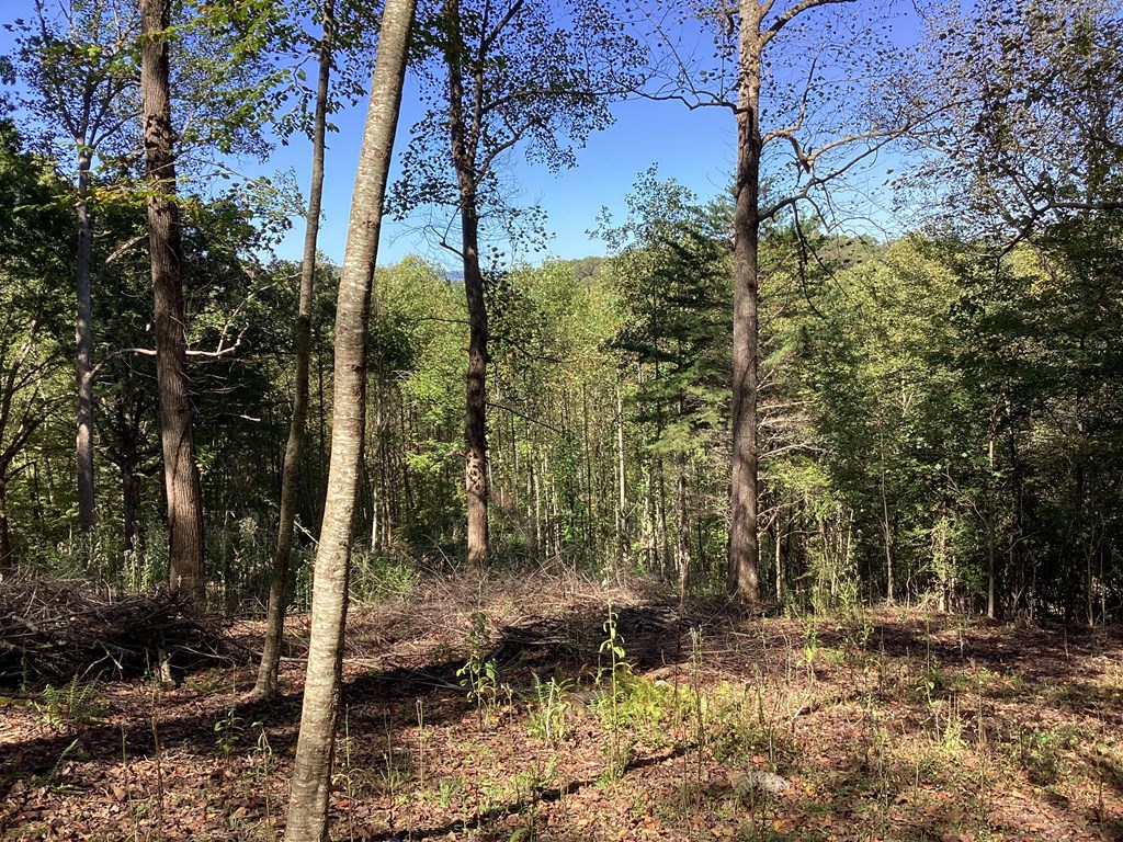 Lot 2 Buckhead Hills Property Photo 11