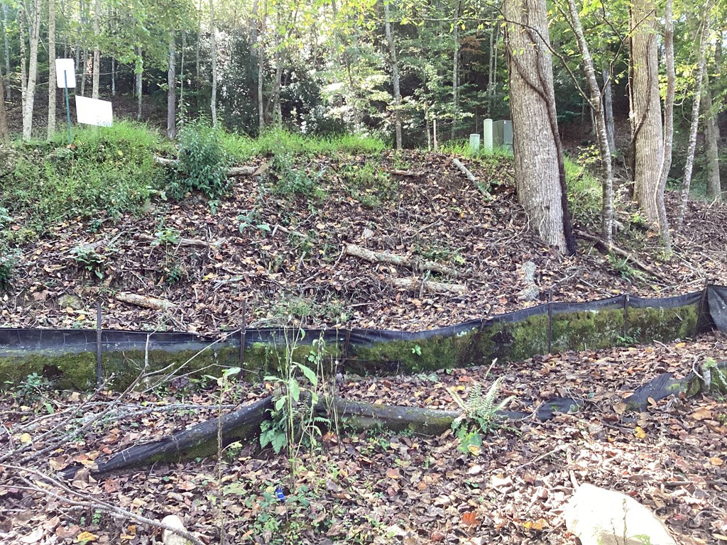 Lot 2 Buckhead Hills Property Photo 13